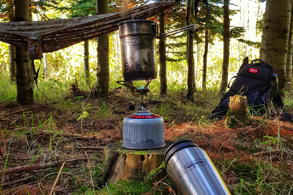 Stanleys In the Wild — Henrik’s Stanley