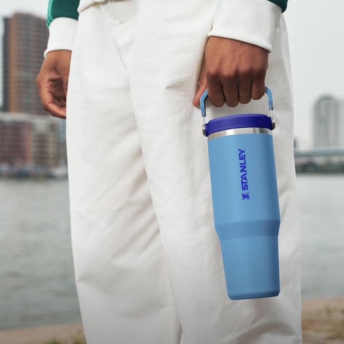 Person holding a blue Stanley tumbler with a cityscape in the background
