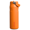 IceFlow™ Bottle Flip Straw 2.0 | 0.71L