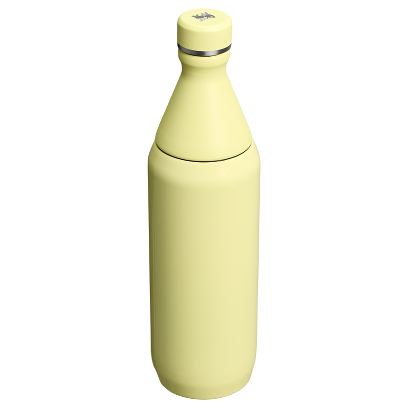Stanley 1913 All Day Slim Bottle 0.59L in Pomelo Gloss | Back View