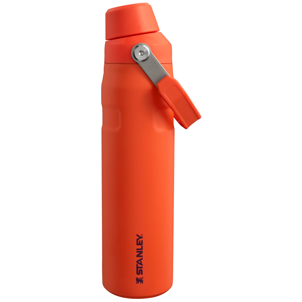 Stanley 1913 IceFlow™ Fast Flow Bottle 0.59L in Tigerlily Plum