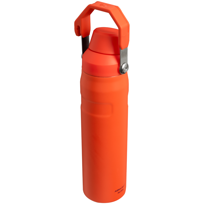 Stanley 1913 IceFlow™ Fast Flow Bottle 0.59L in Tigerlily Plum | Back View