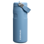IceFlow™ Bottle Flip Straw 2.0