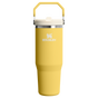 Swatch for Stanley 1913 IceFlow™ Flip Straw 2.0 Tumbler in Daffodil