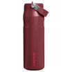 IceFlow™ Bottle Flip Straw 2.0 | 0.71L