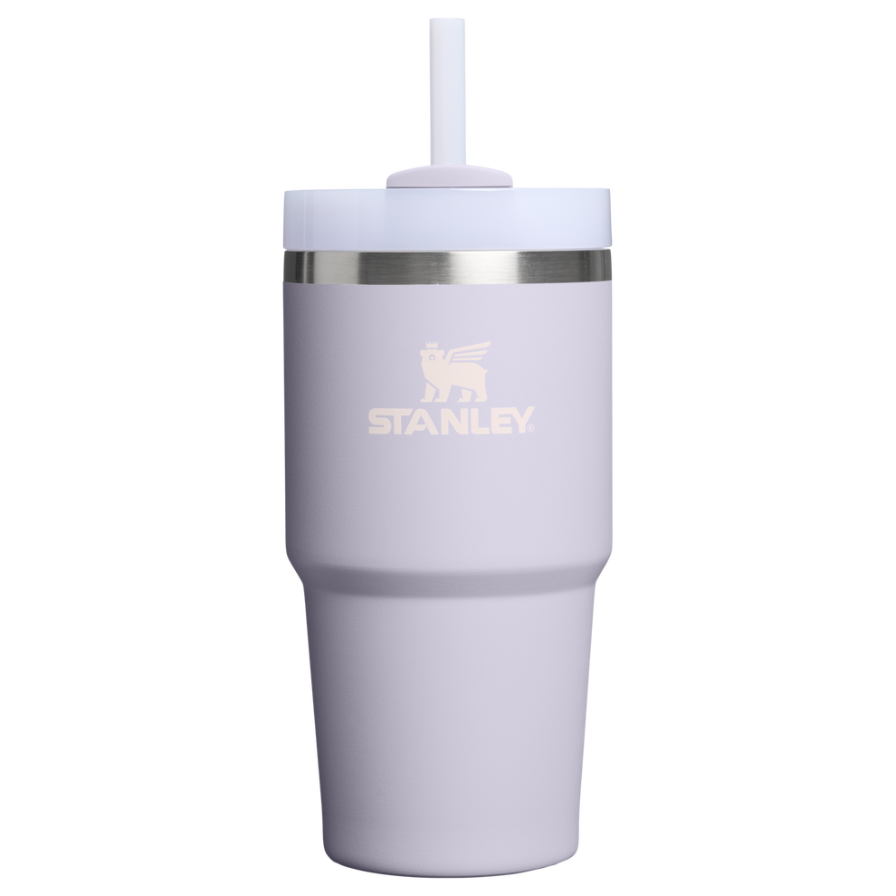Stanley 1913 Quencher® H2.O Flowstate™ Tumbler 0.59L in Purple Dust