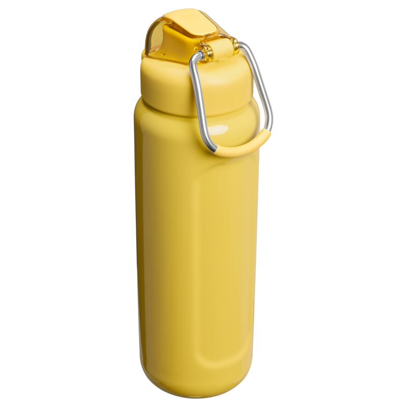 Stanley 1913 Classic Wellspring Bottle 0.71L in Dijon Gloss | Back View