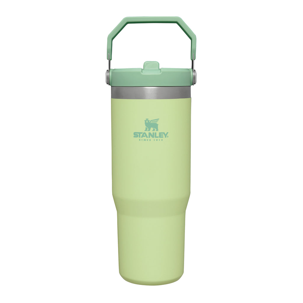 https://uk.stanley1913.com/cdn/shop/products/TheIceFlow_FlipStrawTumbler-Citron-0.89L-FrontView_1024x1024.jpg?v=1704285833